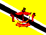 Brunei Flag